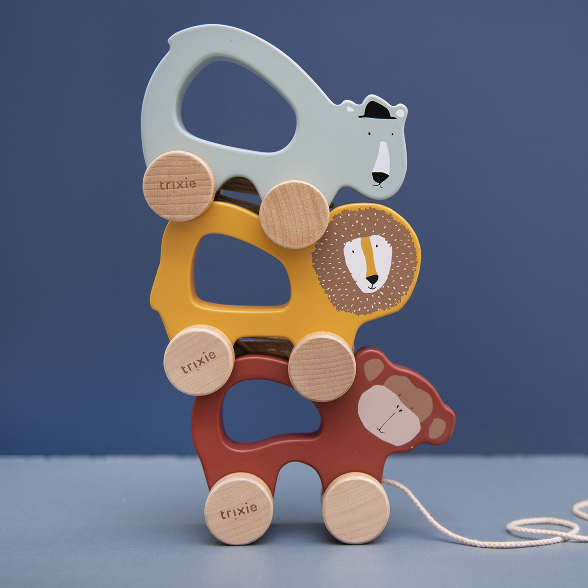 Animaux à tirer en bois