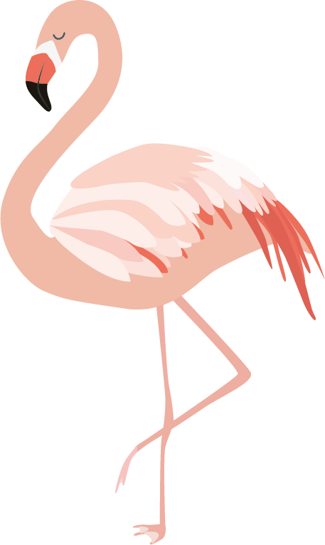 Flamant Rose