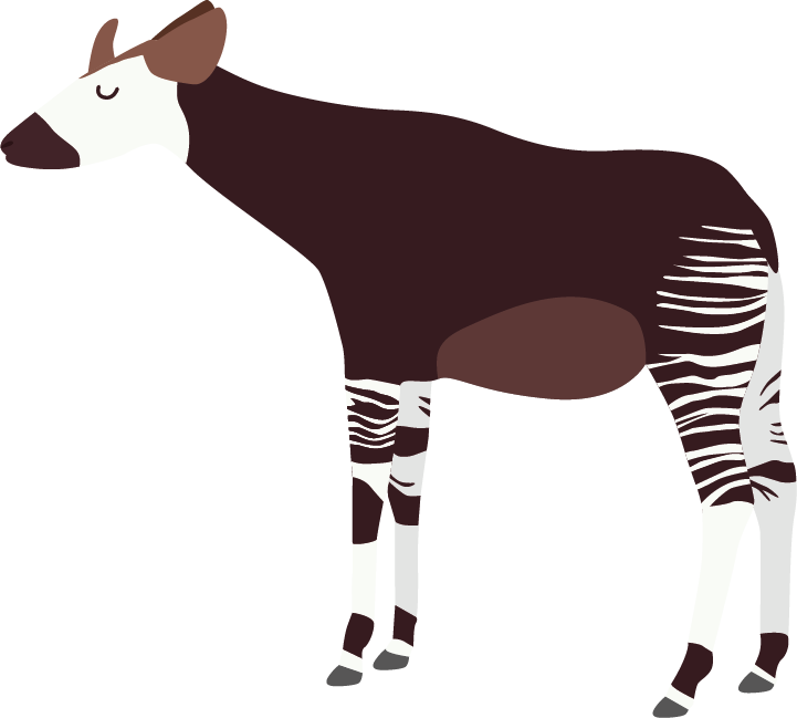 Okapi