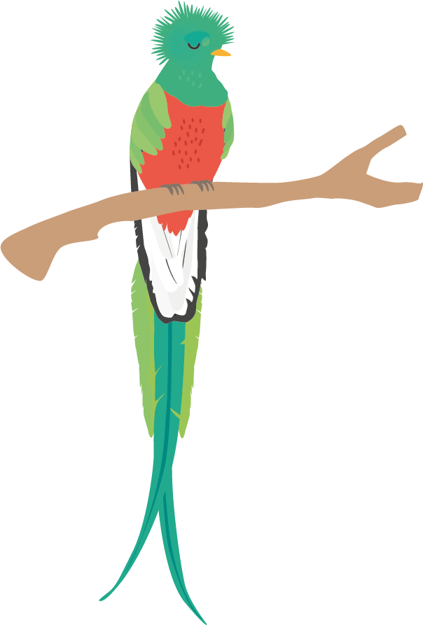 Quetzal