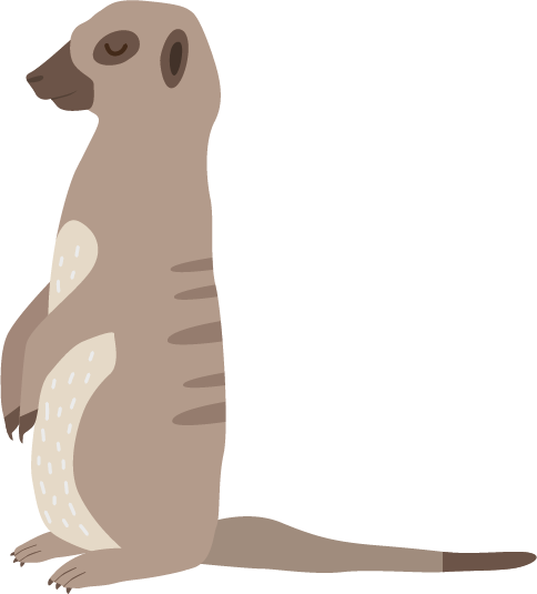 Suricate