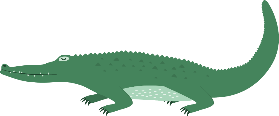 Alligator