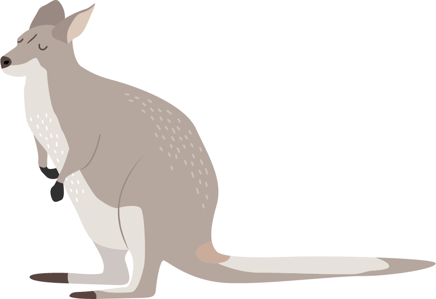 Wallaby