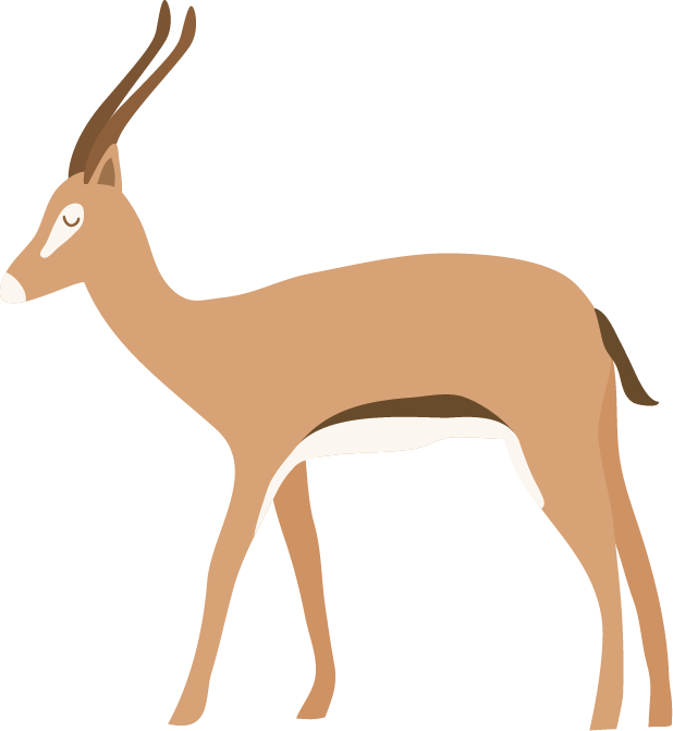 Antilope